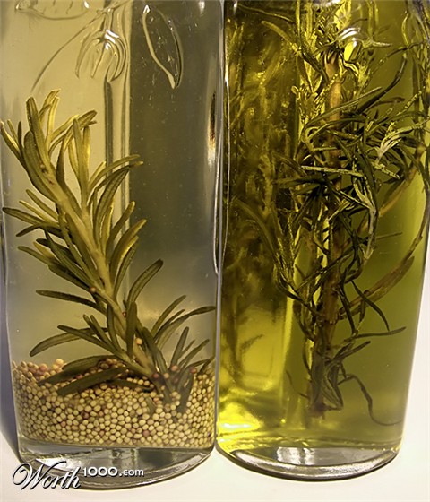 Photography by EyEars