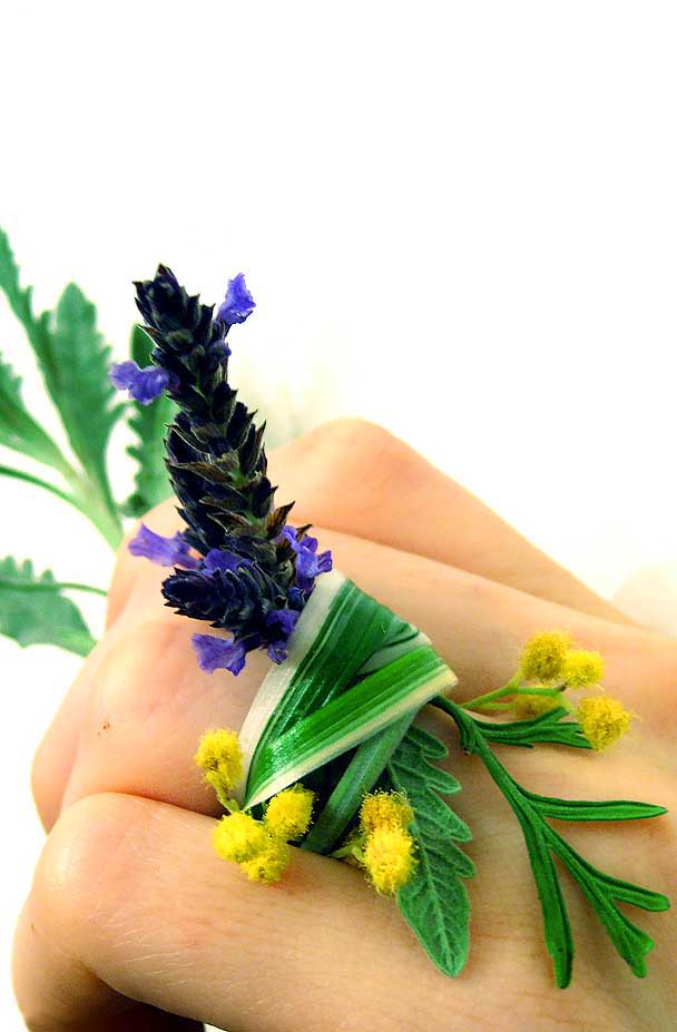 Photography by poisonyvy for DesignCrowd (Community Contests) | Design #9018264