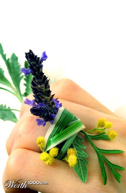 Photography by poisonyvy