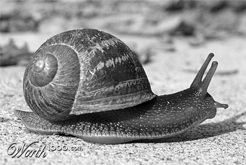 Photography by BearQT