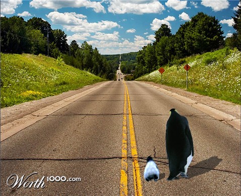 Photoshop Design by copr369