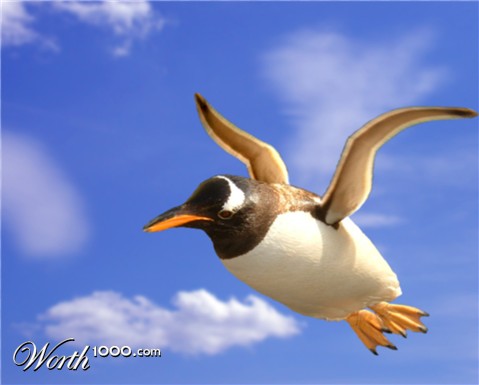 Photoshop Design by Dorinz