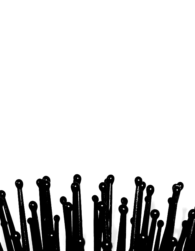 Photographie par allboutme pour DesignCrowd (Community Contests) | Design #9021537