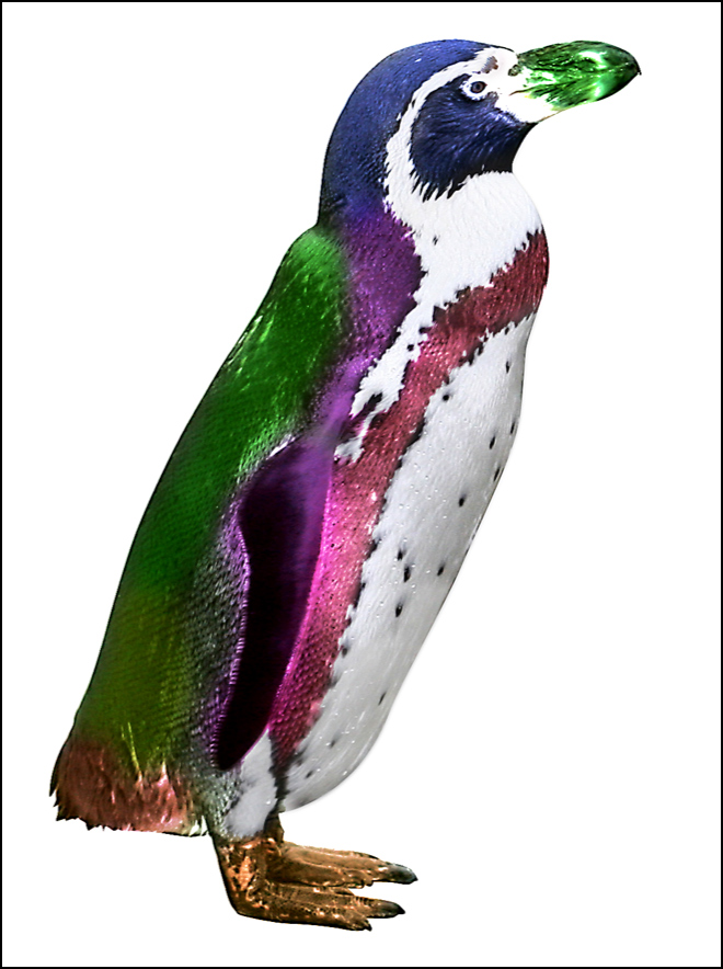 Photoshop Design by klstover for DesignCrowd (Community Contests) | Design #9016498