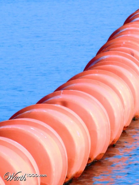 Photography by alxkueyar