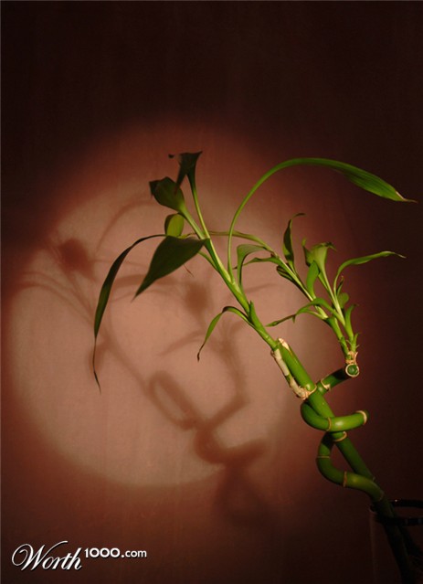 Photography by GinniFlanders