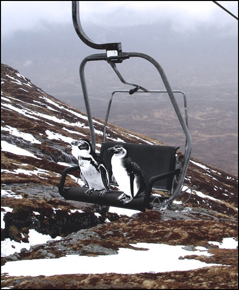 Diseño de Photoshop por Desfoy para DesignCrowd (Community Contests) | Diseño #9016522