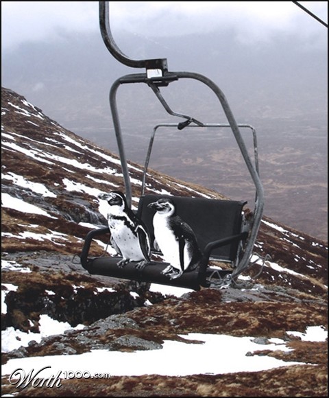 Photoshop Design by Desfoy