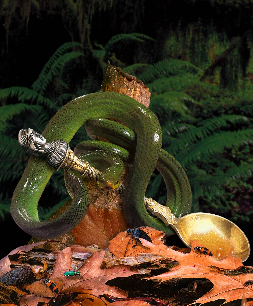 Photoshop Design by cameon for DesignCrowd (Community Contests) | Design #9023143