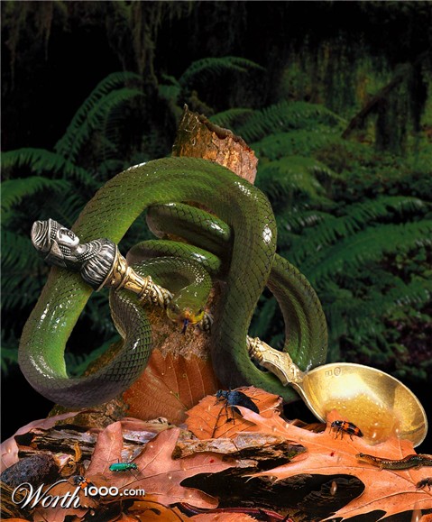 Photoshop Design by cameon