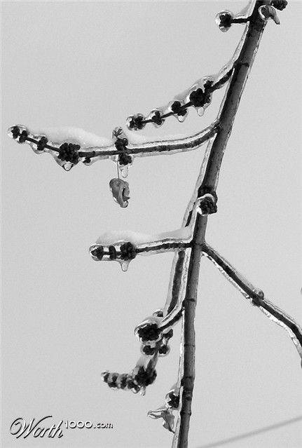 Photography by kat426