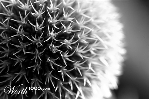 Photography by jayjay007