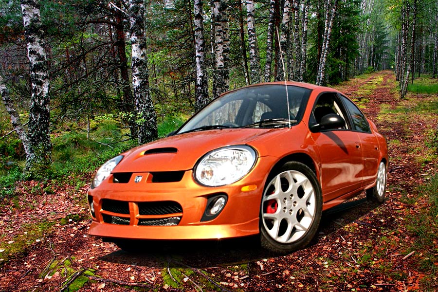 Diseño de Photoshop por FireDragon101 para DesignCrowd (Community Contests) | Diseño #9026922