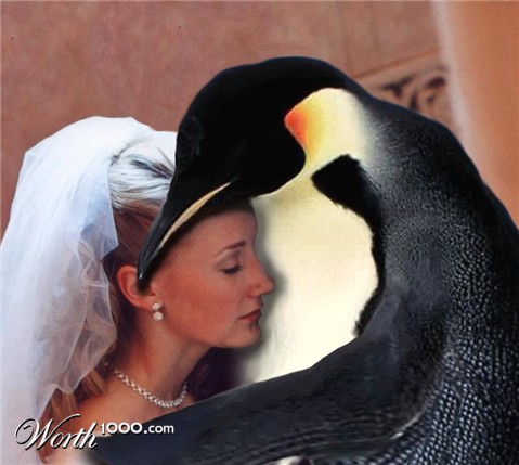 Photoshop Design by dontago