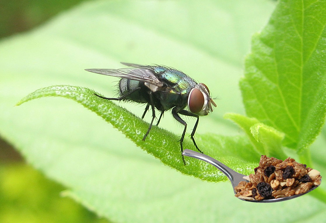 Photoshop Design by nedradio for DesignCrowd (Community Contests) | Design #9023164