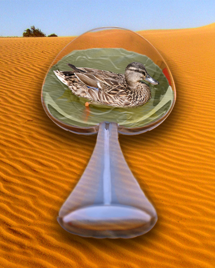 Photoshop-Design von Sunbean für DesignCrowd (Community Contests) | Design #9023176
