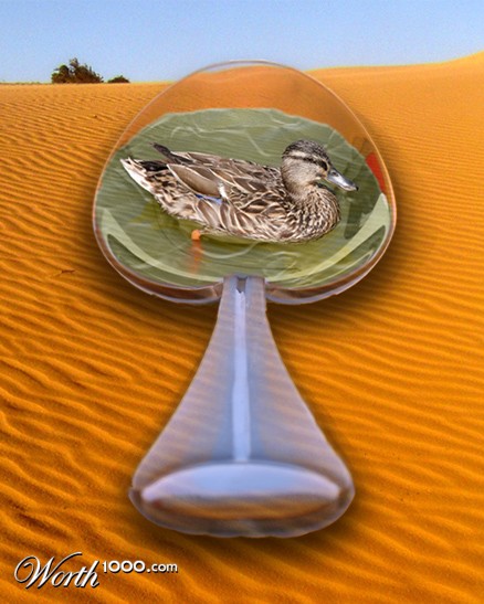 Photoshop Design by Sunbean