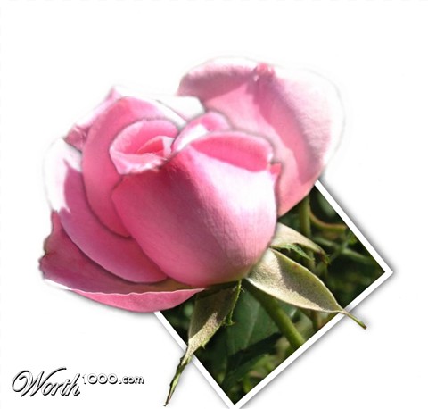 Photoshop Design by JClark8220