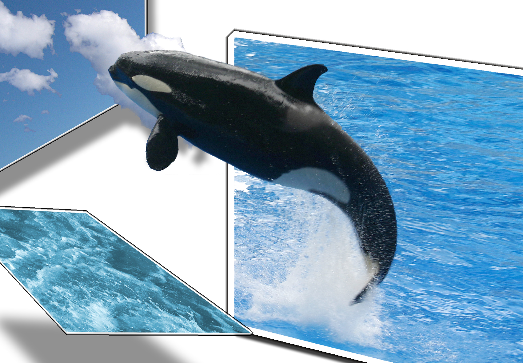 Design Photoshop par rune777 pour DesignCrowd (Community Contests) | Design #9018822