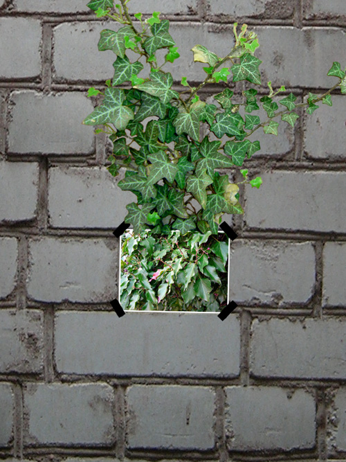 Diseño de Photoshop por Desfoy para DesignCrowd (Community Contests) | Diseño #9018897