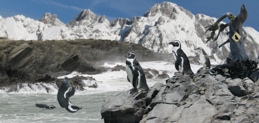 Diseño de Photoshop por Archer4life para DesignCrowd (Community Contests) | Diseño #9016633