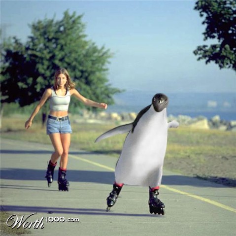 Photoshop Design by Pawg327