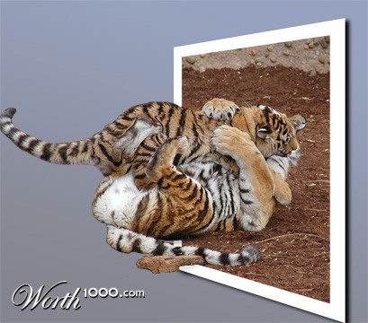 Photoshop Design by liquidlightning