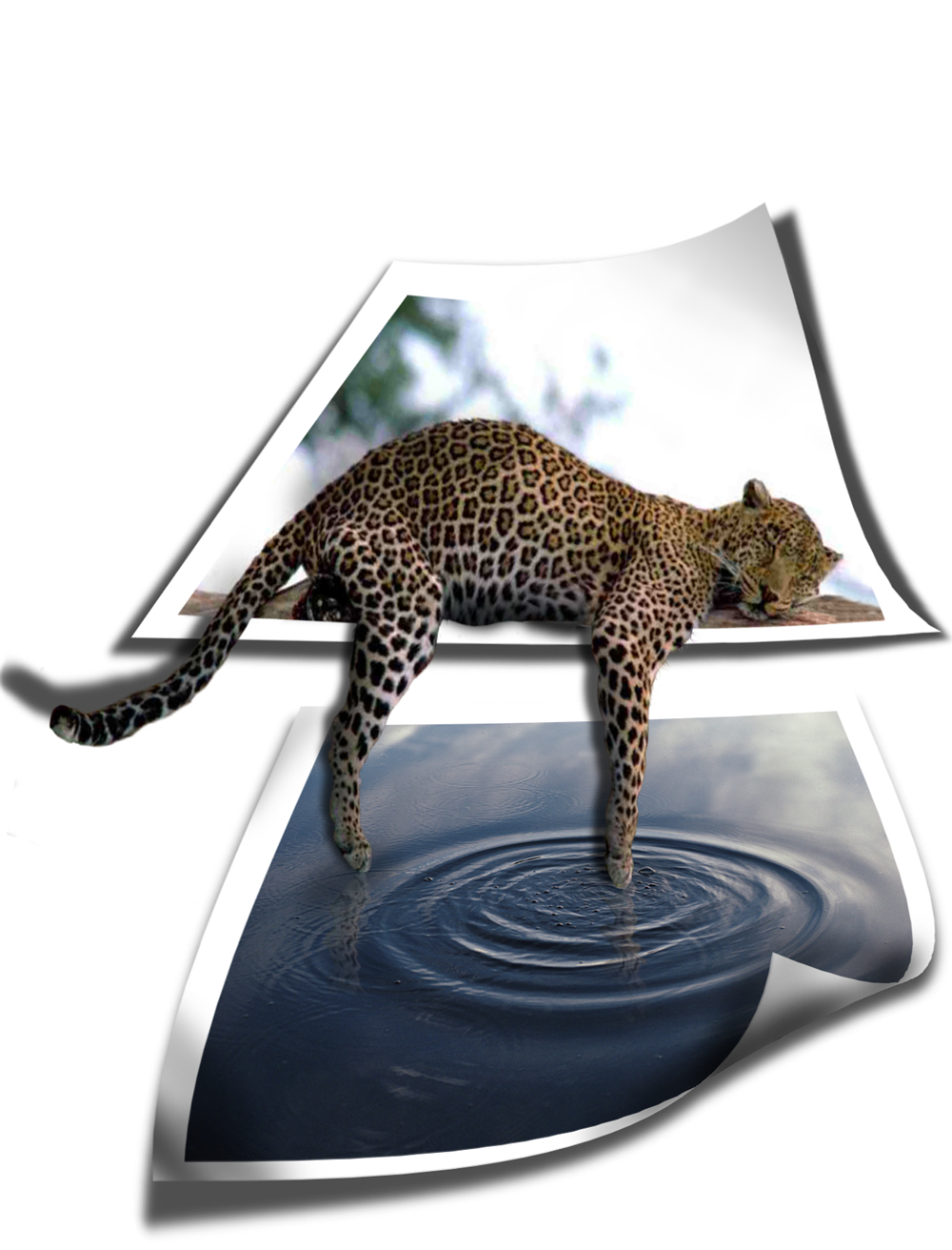 Design Photoshop par LatueofStiberty pour DesignCrowd (Community Contests) | Design #9018959