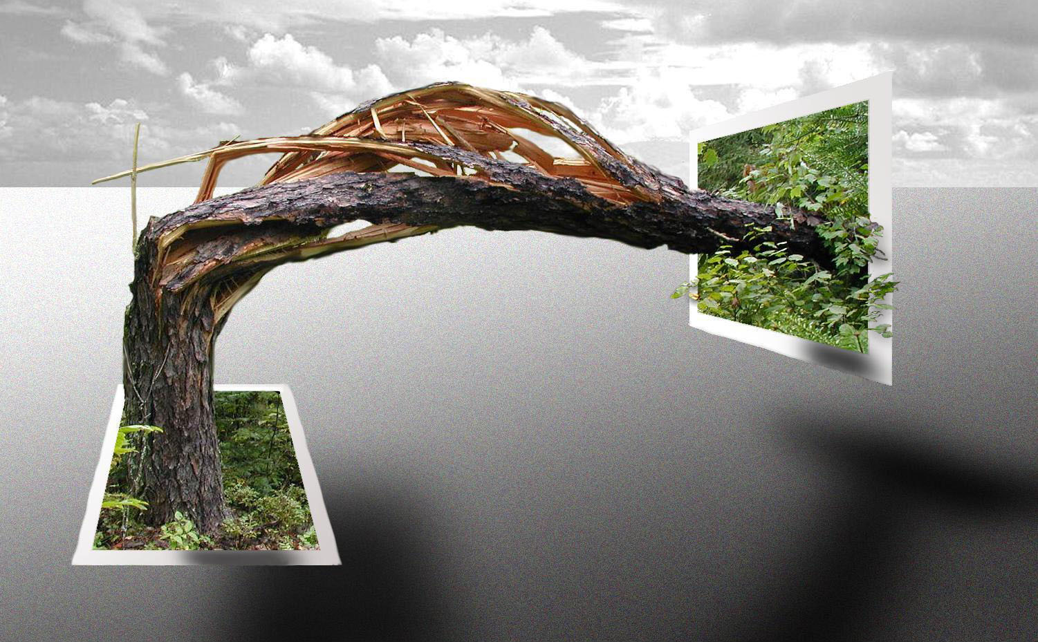 Design Photoshop par dontago pour DesignCrowd (Community Contests) | Design #9018986