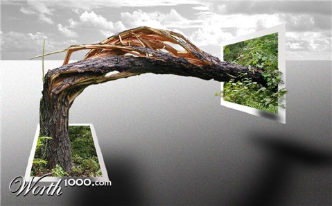 Photoshop Design by dontago