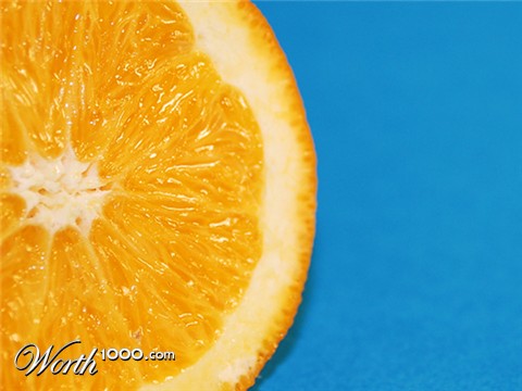 Photography by denileigh