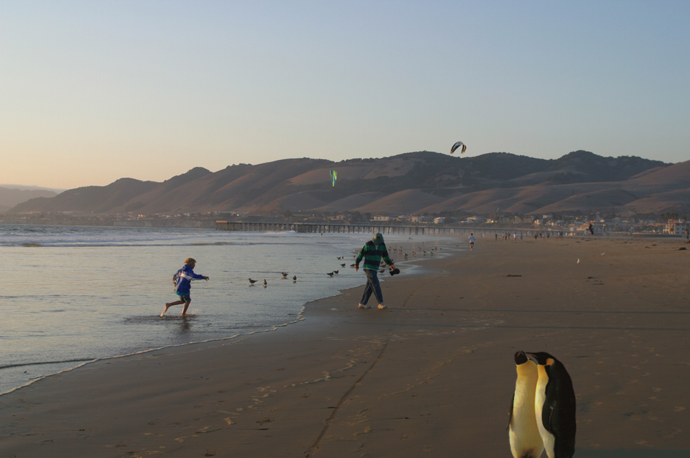 Diseño de Photoshop por Noesis para DesignCrowd (Community Contests) | Diseño #9016693