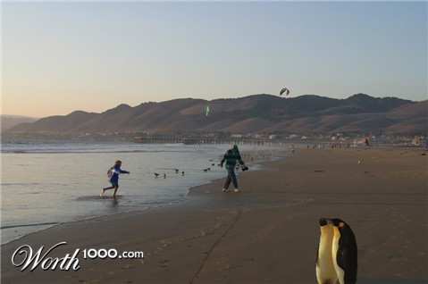 Photoshop Design by Noesis