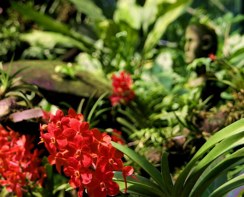 Photography by JillianRed for DesignCrowd (Community Contests) | Design #9021974