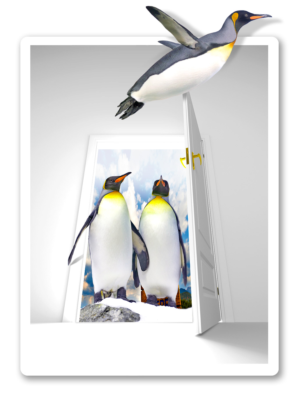 Photoshop Design by davidberettaowens for DesignCrowd (Community Contests) | Design #9018966