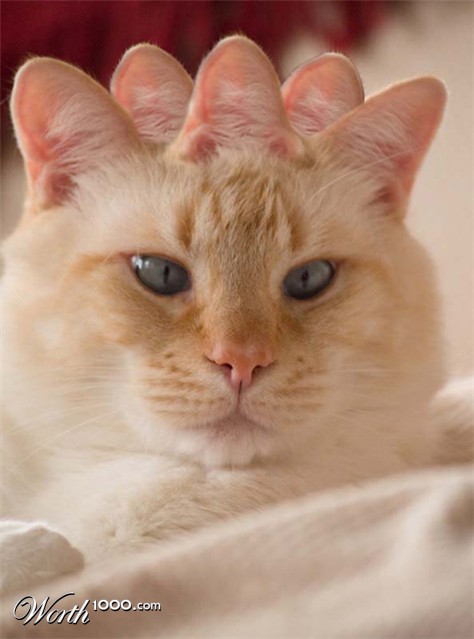 Photoshop Design by RickLaMesa