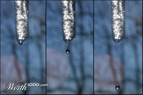 Photography by bpowell