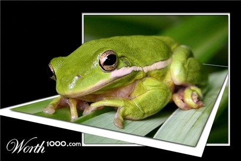 Photoshop Design by starrwalker