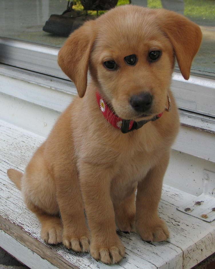 Photoshop Design by eckdeck for DesignCrowd (Community Contests) | Design #9021590