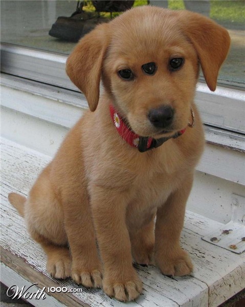 Photoshop Design by eckdeck