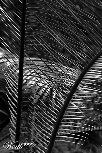 Photography by splong