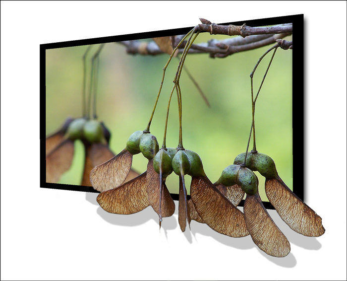 Design Photoshop par pixel8r pour DesignCrowd (Community Contests) | Design #9018983