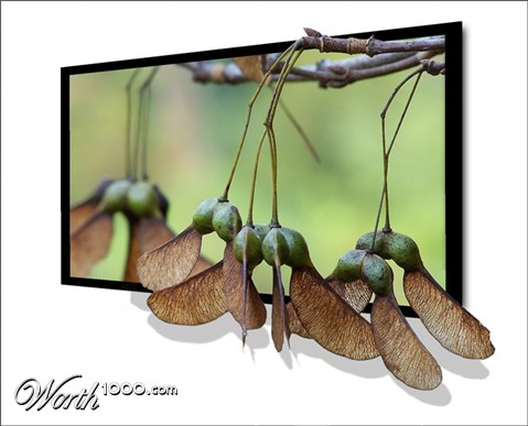 Photoshop Design by pixel8r