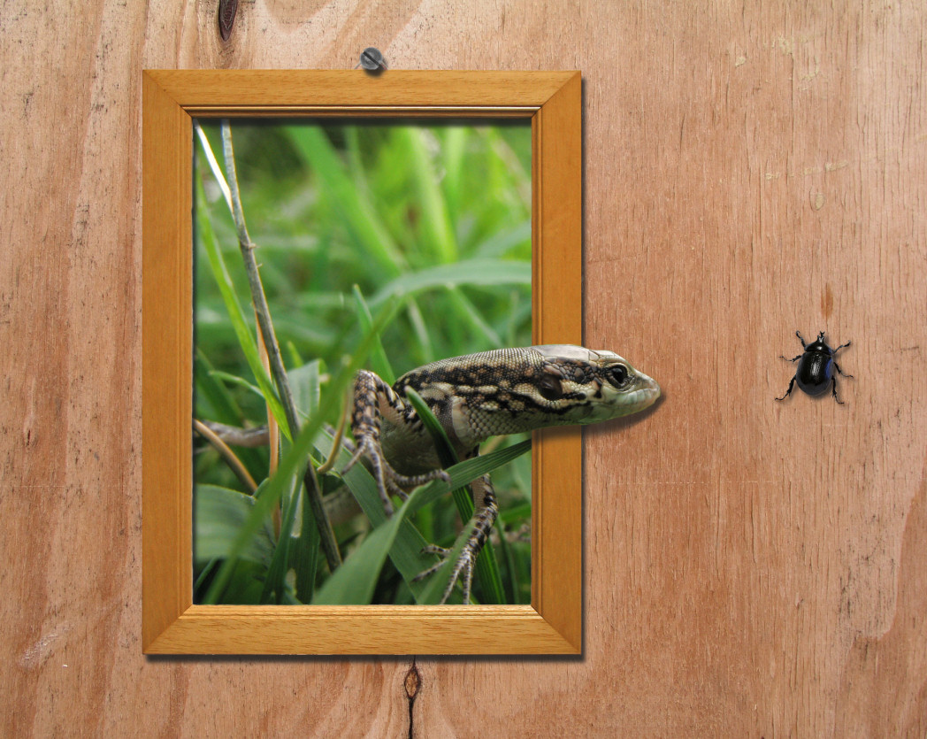 Design Photoshop par zokrukun pour DesignCrowd (Community Contests) | Design #9019040