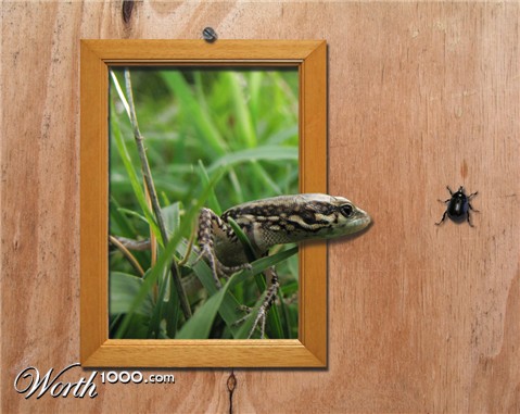 Photoshop Design by zokrukun