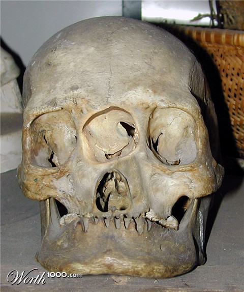 Photoshop Design by doomseke