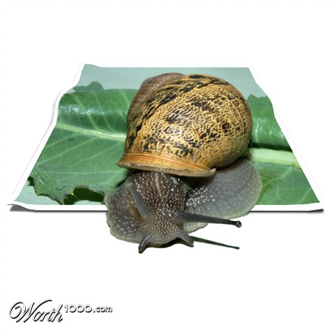 Photoshop Design by rblack