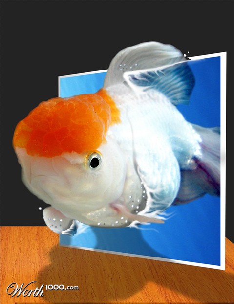 Photoshop Design by eSap85