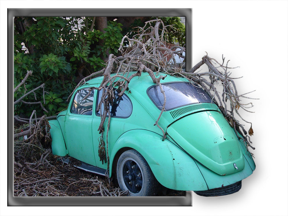 Design Photoshop par dragonsfly pour DesignCrowd (Community Contests) | Design #9019104