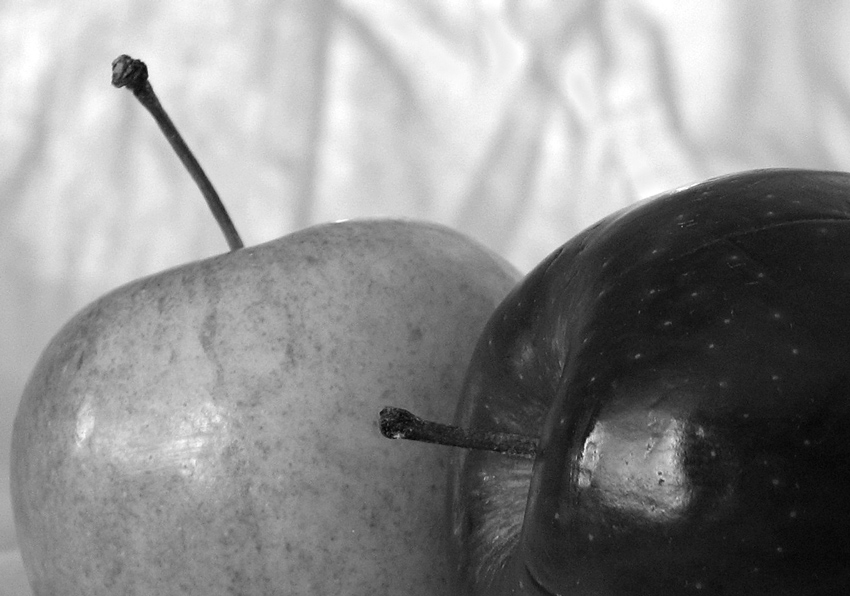 Photography by kat426 for DesignCrowd (Community Contests) | Design #9022946